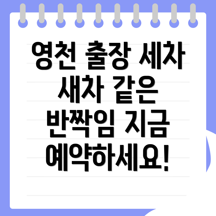 출장세차