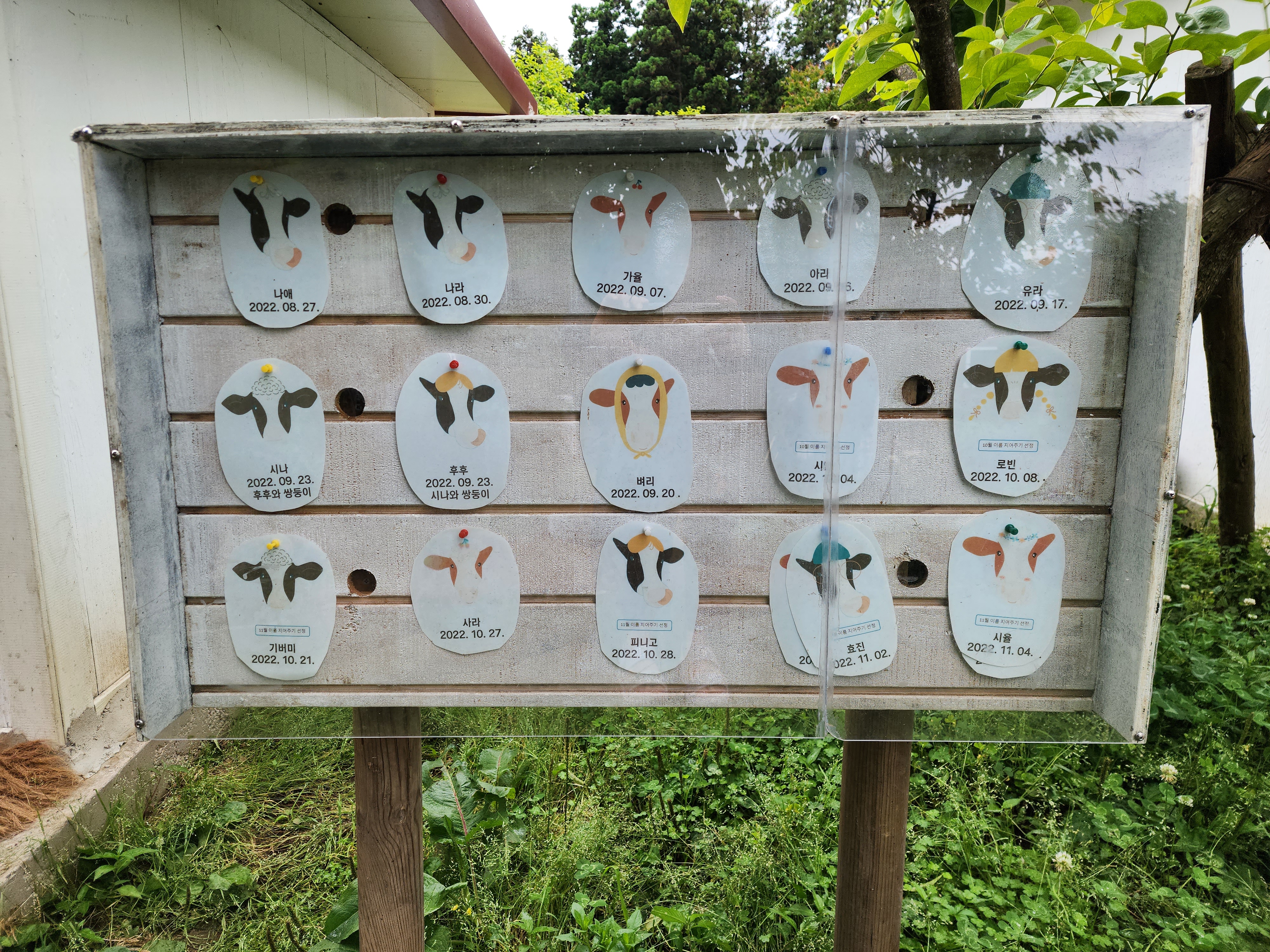 아이와 제주도 여행