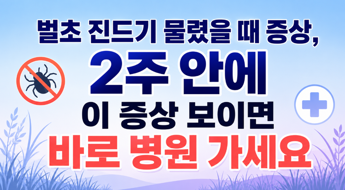 벌초 진드기 물렸을 때 증상, 2주 안에 이 증상 보이면 바로 병원 가세요