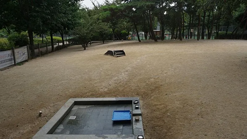 신대방동 반려견 놀이터
