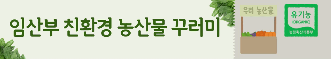 서울 임산부 혜택 총정리