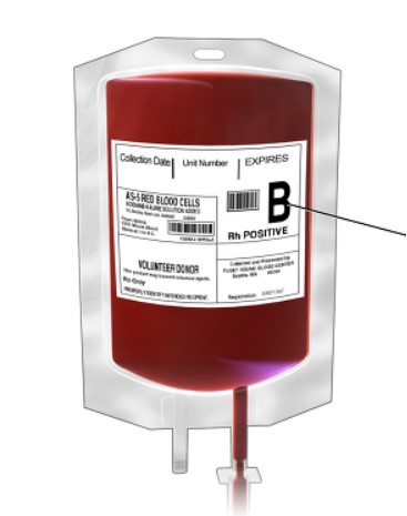 혈액형별 음식궁합