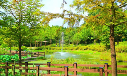 왕송호수 한 바퀴 의왕 레일파크2