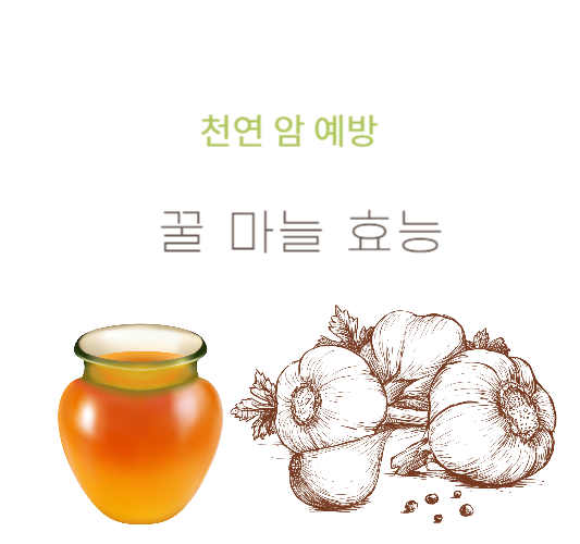 꿀마늘-효능,꿀마늘-먹는법