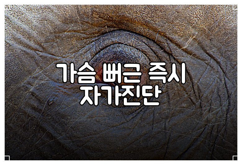 가슴 뻐근 즉시 자가진단