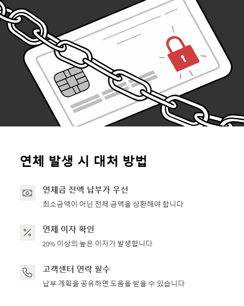 연체 발생 시 대처 방법