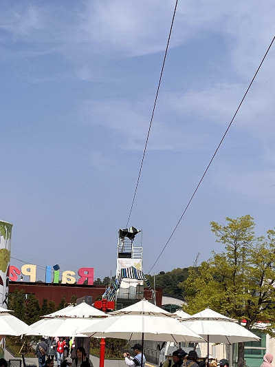 레일파크 내부 짚라인