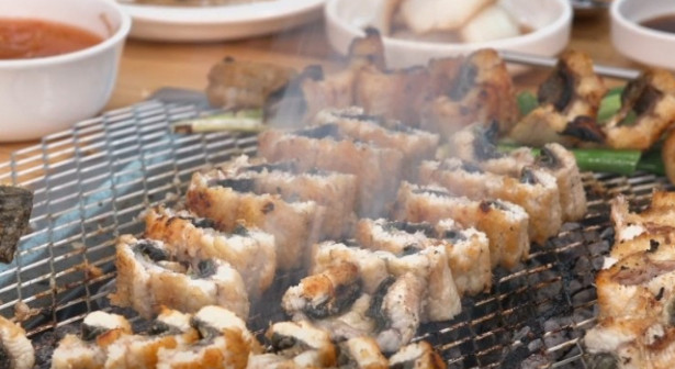 생방송투데이 키워드 다큐 성공인 15년 대물 장어 용인 맛집
