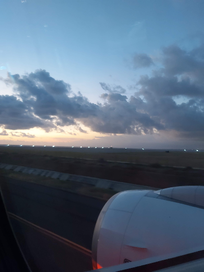 임신 9주차 발리행 비행기