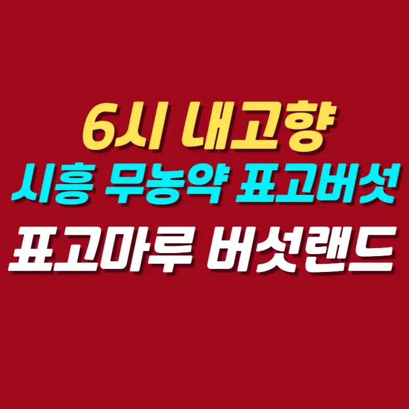 6시-내고향-시흥-무농약-표고버섯