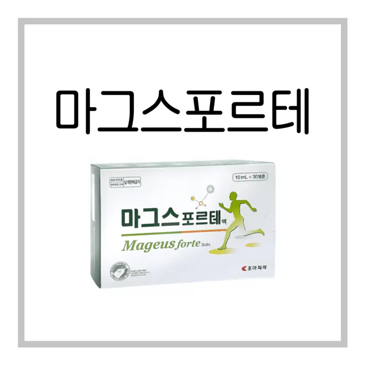 마그스포르테액-이미지