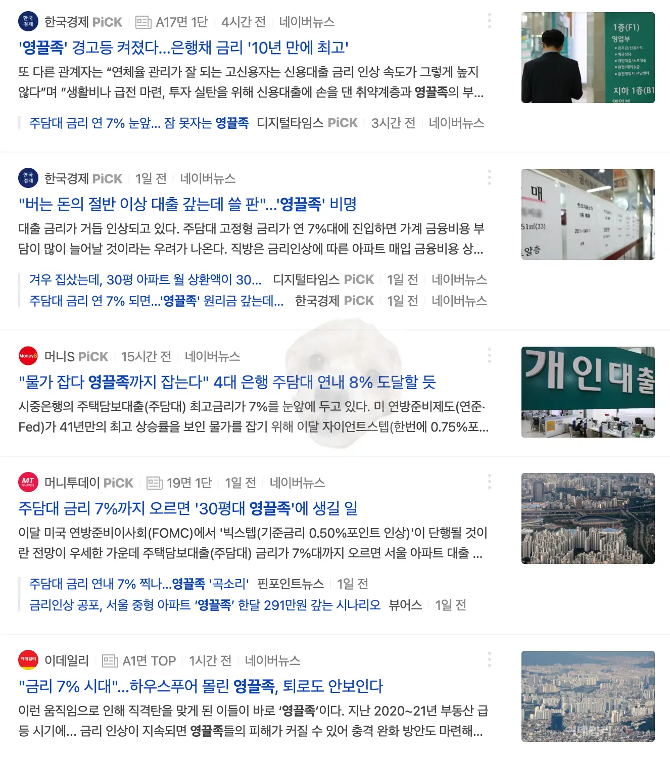 영끌족 검색 후 나오는 각종 기사들