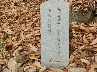 정난정 생애 정치 활동 정리 여인천하 권력과 몰락 이야기_11