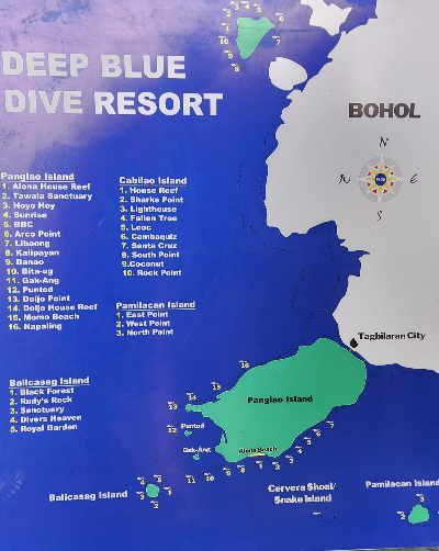 보홀의 다이버 포인트