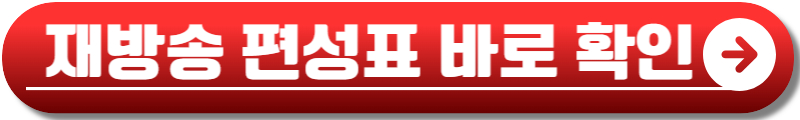 강철부대W 재방송