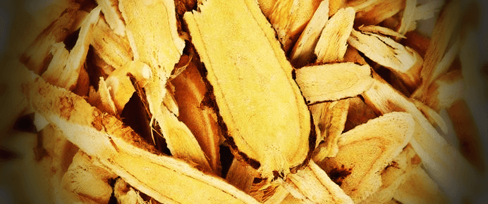 잘라진-황기-사진