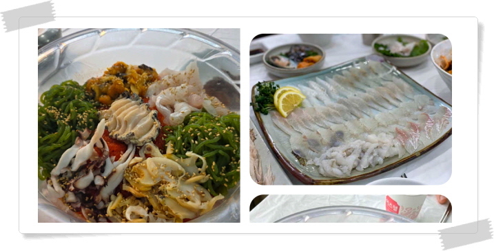 전현무계획2 강릉 짬뽕물회 자연산모둠회 후기