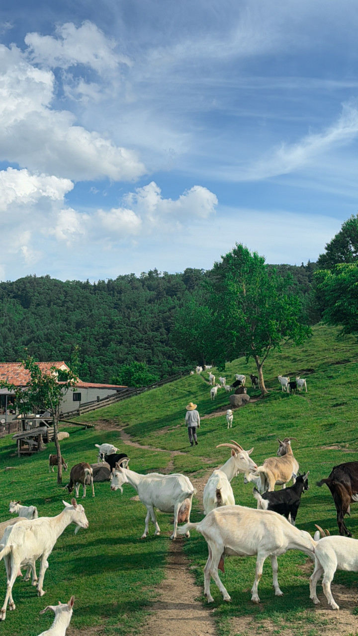 태백 가볼만한곳 베스트10