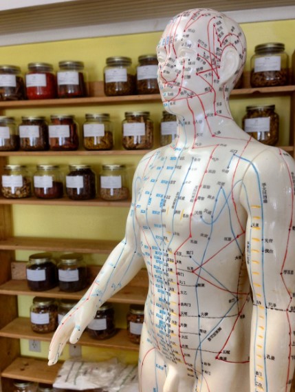 인천한방 탈모치료병원