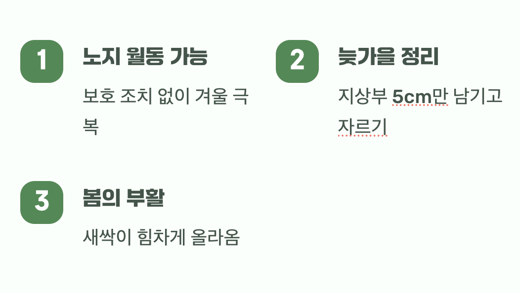 두려워 마세요&amp;#44; 혹독한 겨울나기
