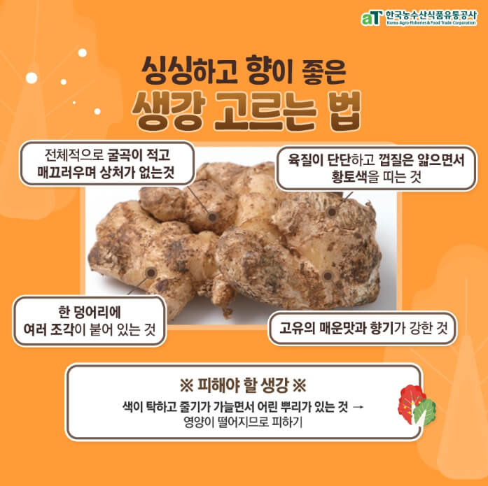 김장김치재료-좋은-생강