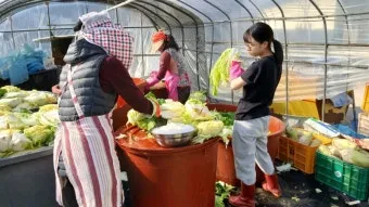 김장 적정 기온 절임 배추 보관 통풍 위치 점검_15