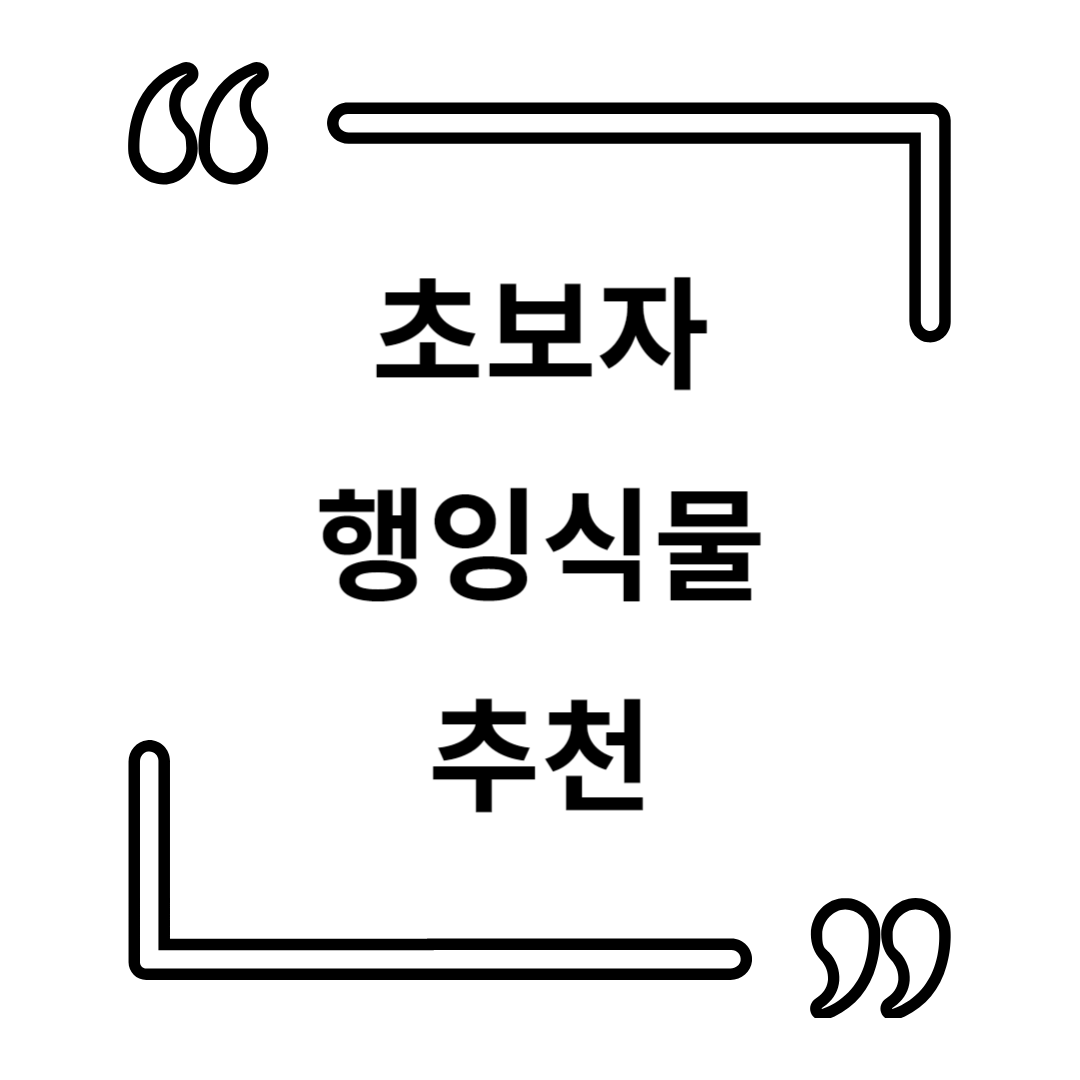 🏡 인테리어와 공기 정화를 동시에! 행잉 식물의 모든 것