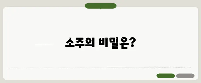 소주 한병은 몇ml? 알코올 도수 계산까지