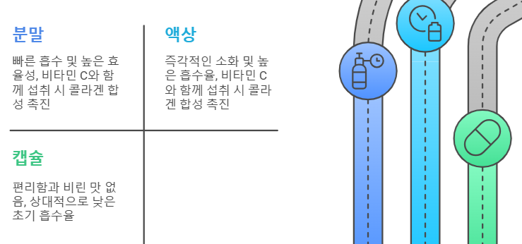 어떤 형태의 콜라겐 보충제를 선택해야 하는가?