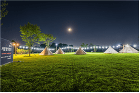 서울별빛캠핑 2025 접수 시작! 가족 캠핑·별자리 관측·환경 체험까지 완벽 정리
