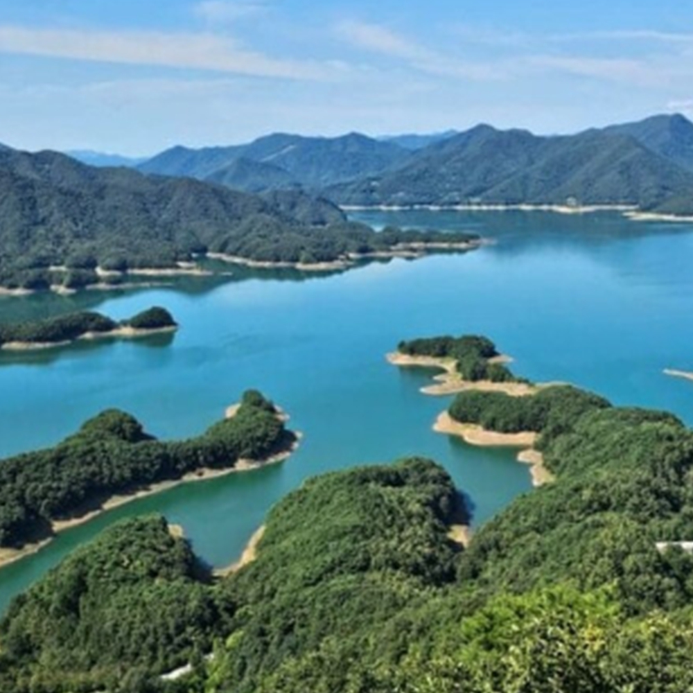 충주 가볼만한곳 베스트10