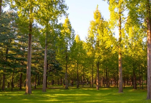 강원도 가볼만한곳 이미지 입니다.