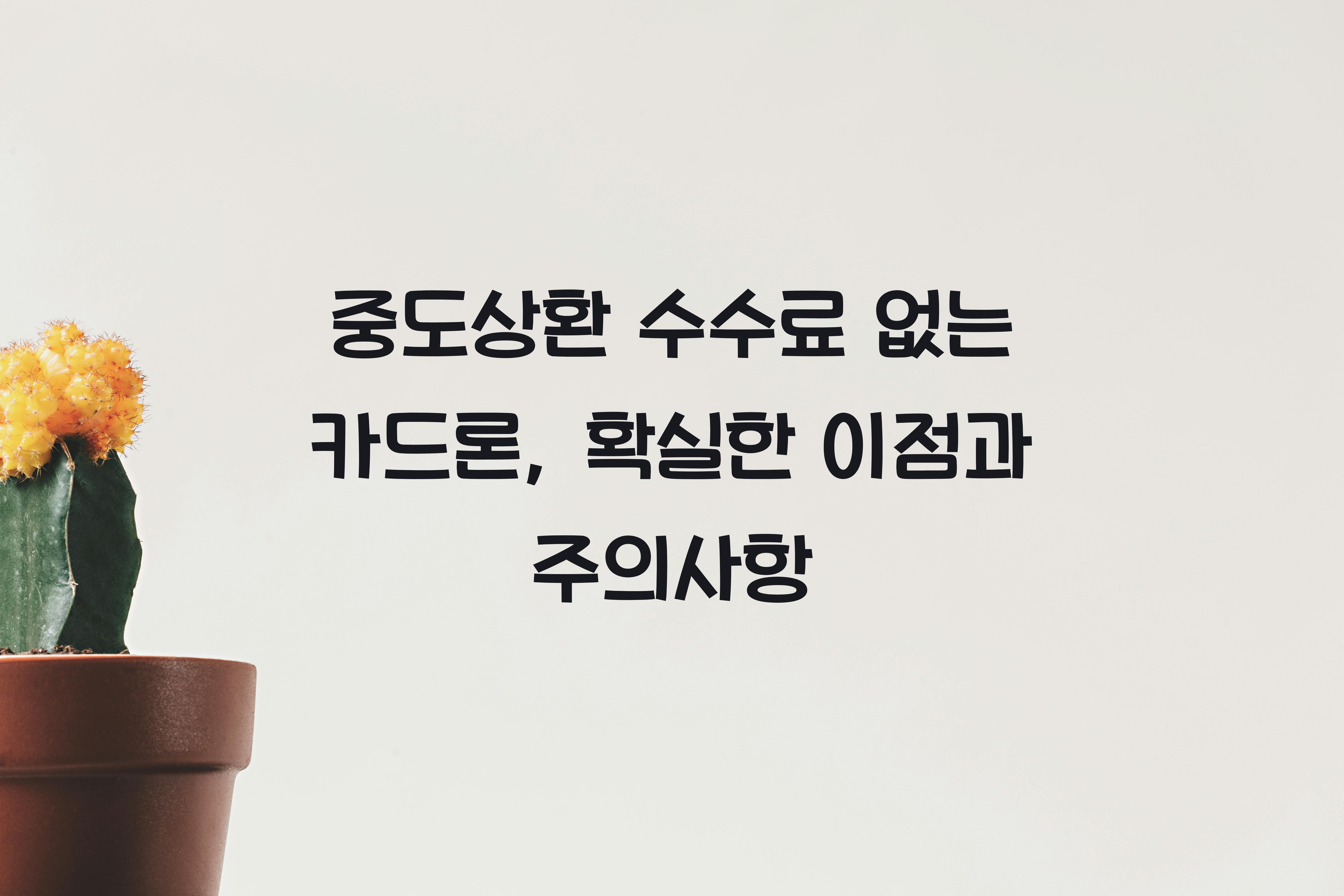 중도상환 수수료 없는 카드론