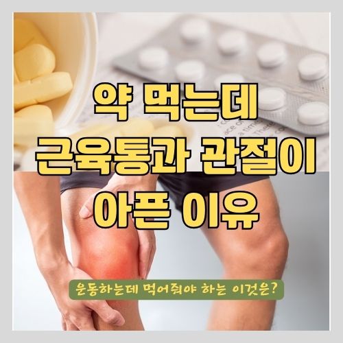 [MSM 식이유황]의 효능과 영양제 추천, 먹는시간, 주의사항-무릎통증/손목통증/근육통/관절염/면역력/피부/모발개선 썸네일