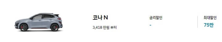 코나 N_사진