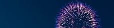 2024 세계불꽃축제