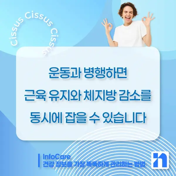 시서스 효능