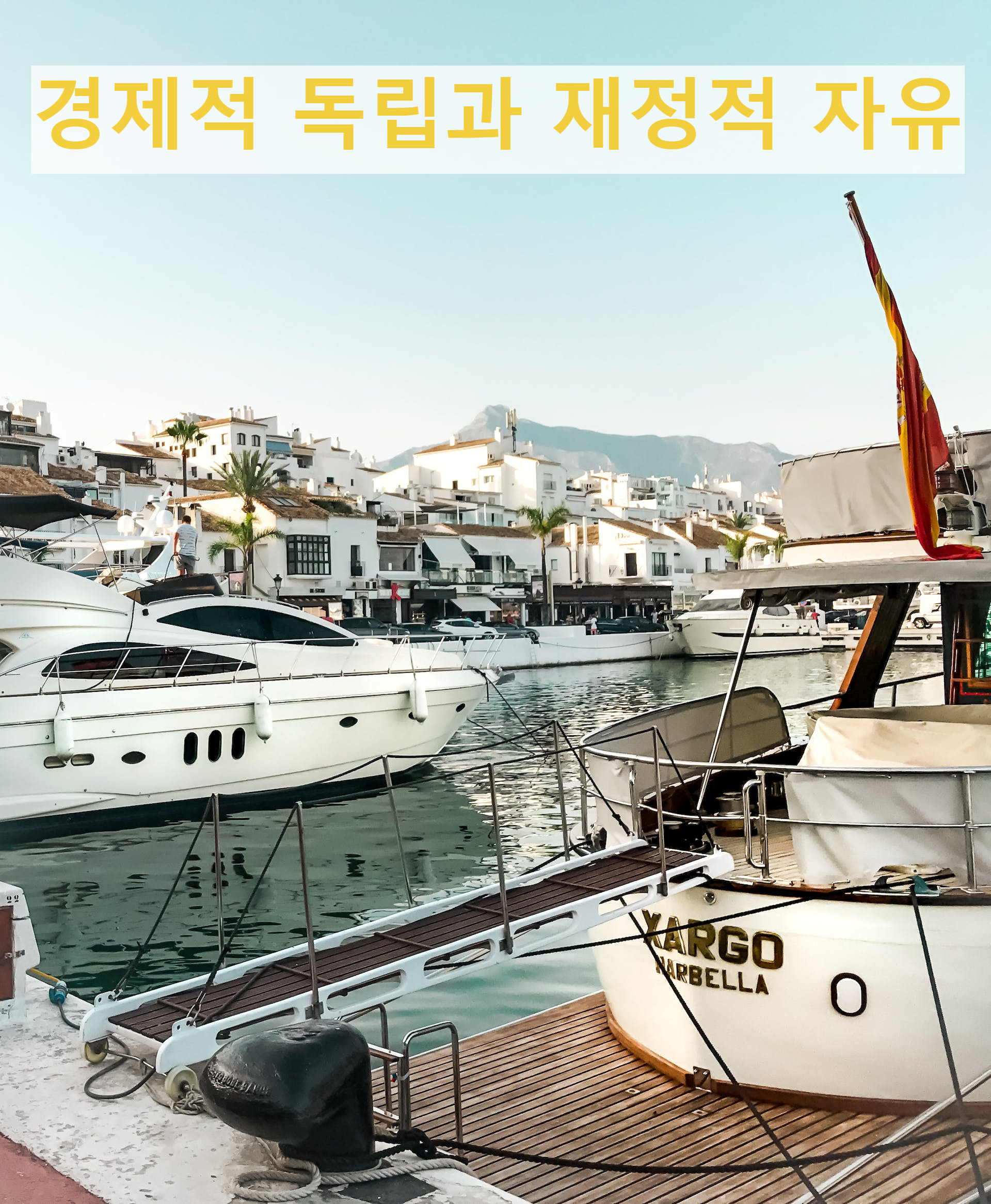 재정적 자유