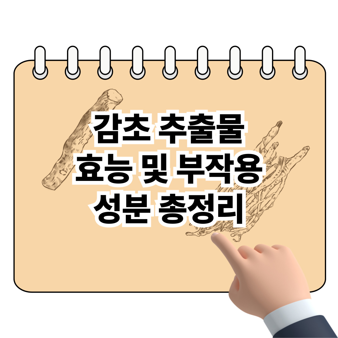 감초 추출물 효능과 부작용, 성분 완벽 정리 포스터