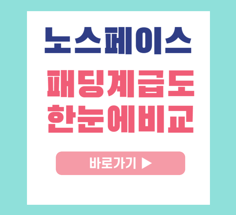 노스페이스