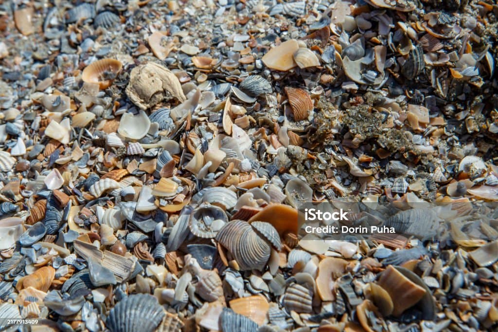 음식물 쓰레기를 없애기 위한 글로벌 캠페인 사례 분석
