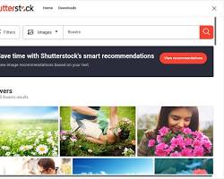 shutterstock