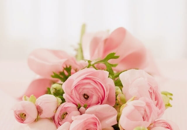 분홍색 장미꽃다발 이미지