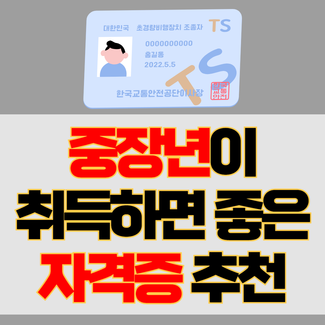 자격증 추천