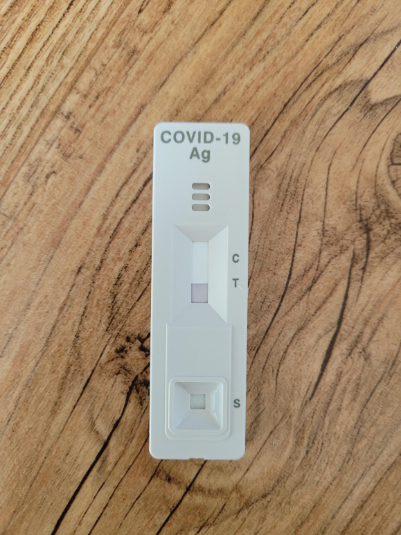 코로나-검사키트