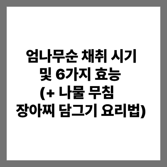 엄나무순 채취 시기 및 6가지 효능 (+ 나물 무침 장아찌 담그기 요리법)