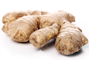 역류성 식도염 17