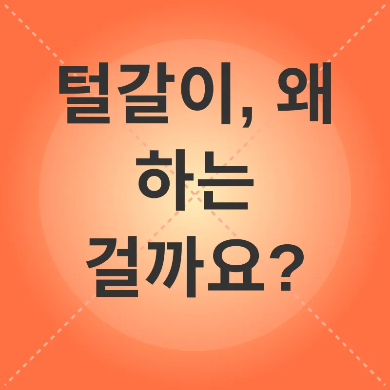 고양이 털갈이_1