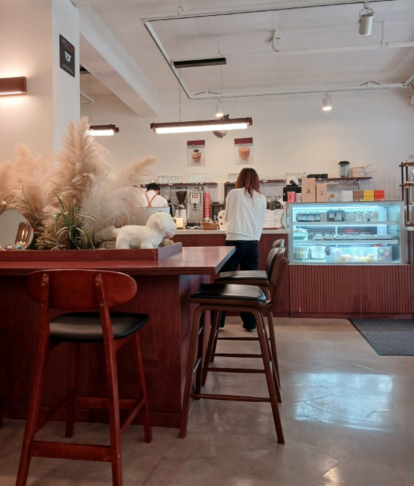 새참커피 매장풍경