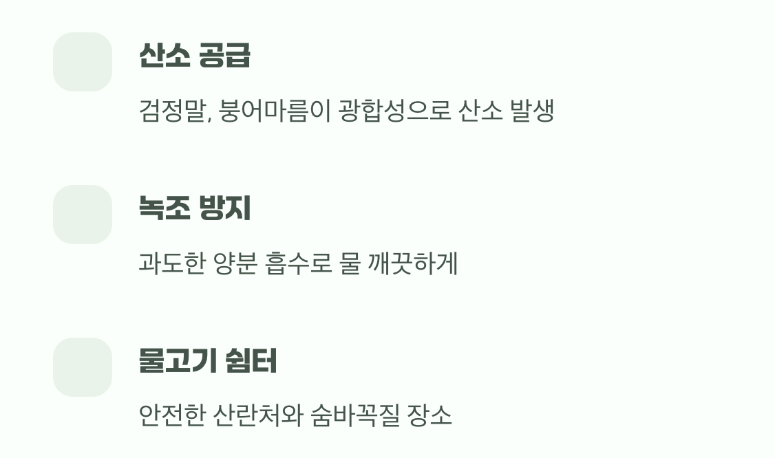 물속 세상을 책임지는 숨은 조력자